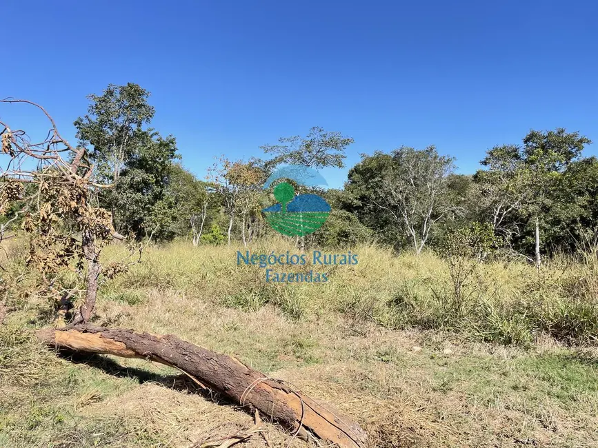 Foto 9 de Fazenda / Haras à venda, 31m2 em Uruacu - GO