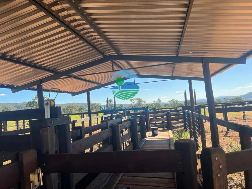 Foto 5 de Fazenda / Haras com 7 quartos à venda, 159m2 em Setor Central, Jaragua - GO