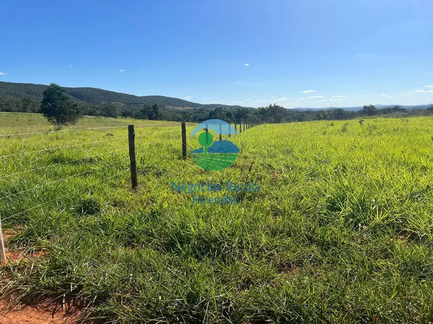 Foto 2 de Fazenda / Haras com 7 quartos à venda, 159m2 em Setor Central, Jaragua - GO