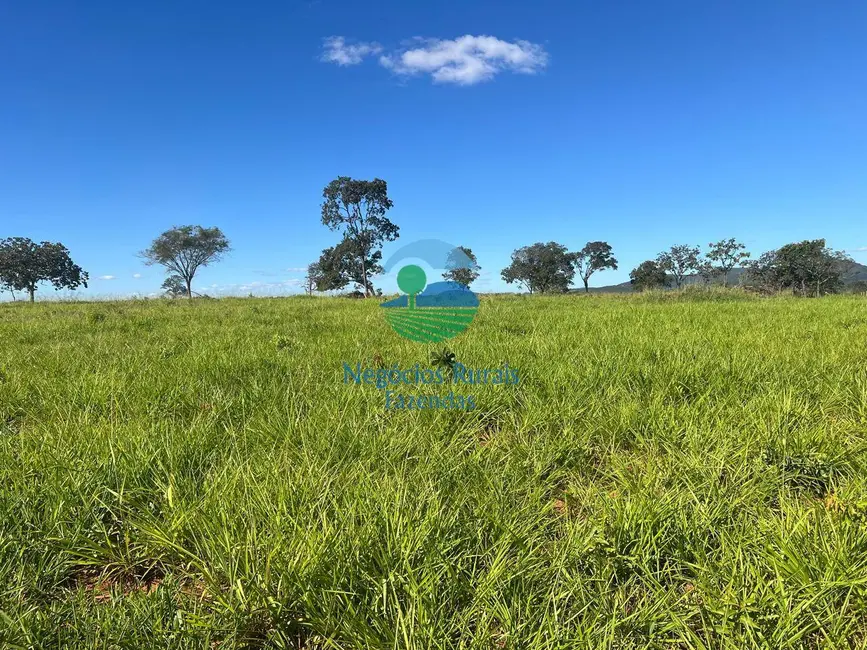 Foto 1 de Fazenda / Haras com 7 quartos à venda, 159m2 em Setor Central, Jaragua - GO