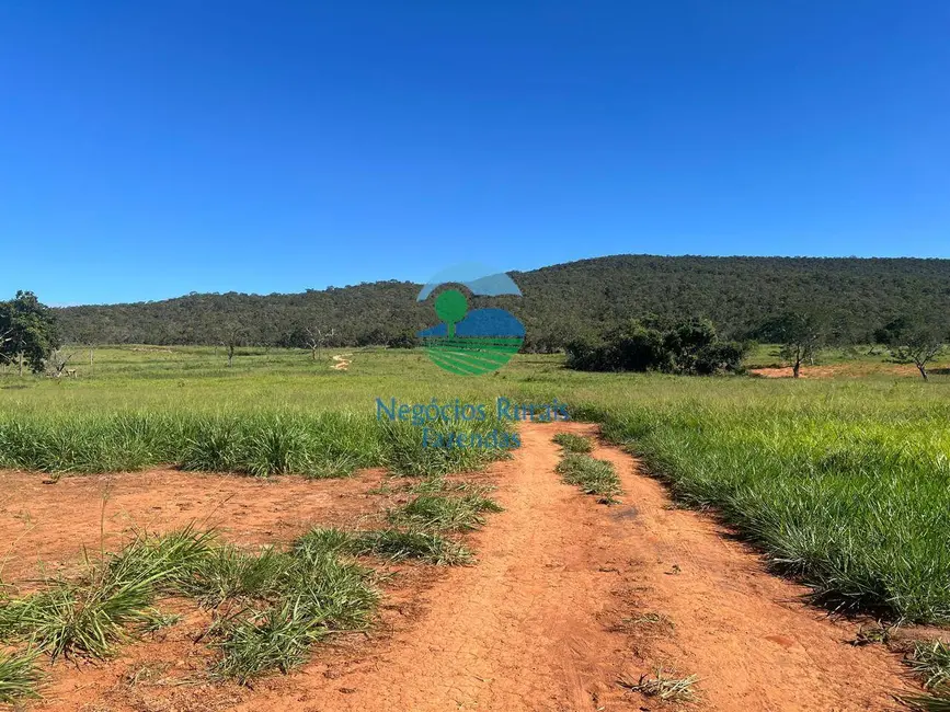 Foto 3 de Fazenda / Haras com 7 quartos à venda, 159m2 em Setor Central, Jaragua - GO