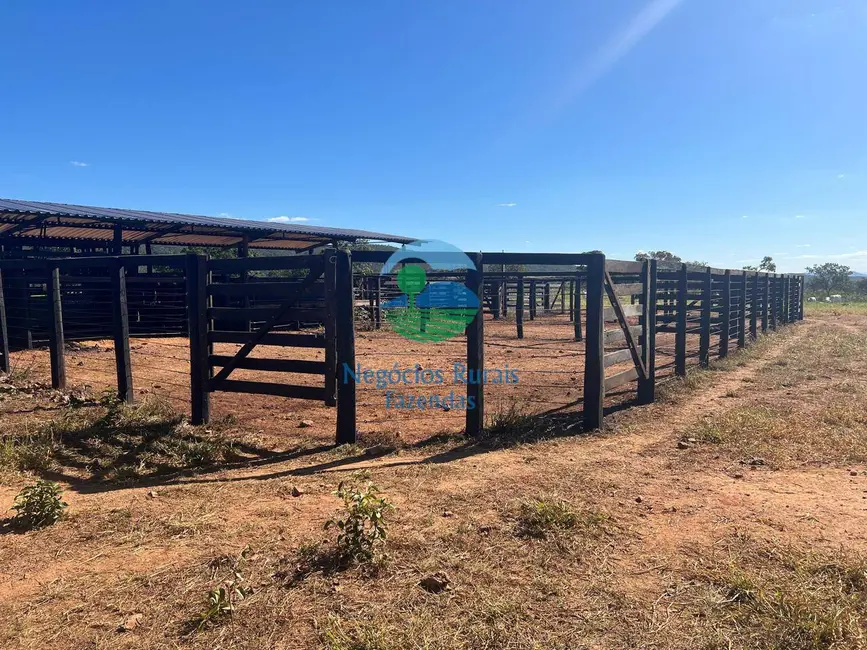 Foto 7 de Fazenda / Haras com 7 quartos à venda, 159m2 em Setor Central, Jaragua - GO