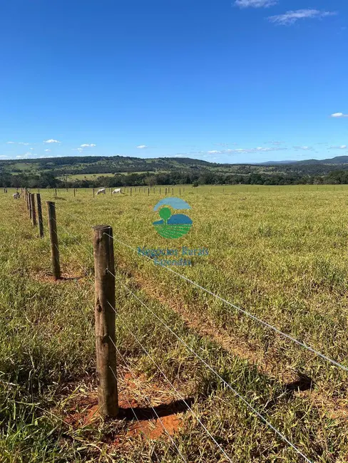 Foto 8 de Fazenda / Haras com 7 quartos à venda, 159m2 em Setor Central, Jaragua - GO