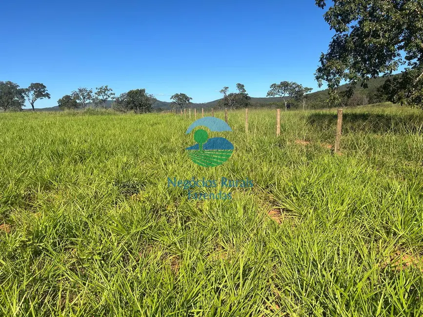 Foto 6 de Fazenda / Haras com 7 quartos à venda, 159m2 em Setor Central, Jaragua - GO