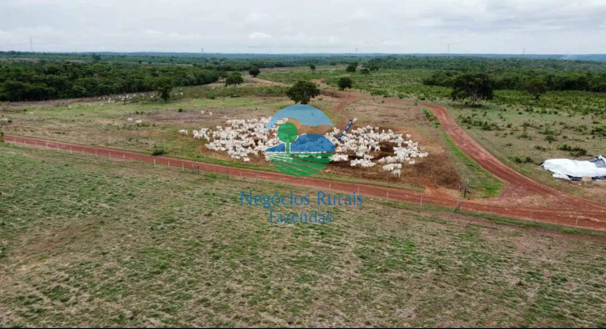 Foto 9 de Fazenda / Haras à venda, 525m2 em Crixas Do Tocantins - TO