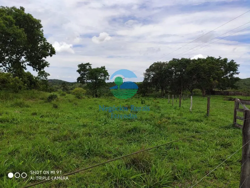 Foto 4 de Fazenda / Haras à venda, 515m2 em Jaragua - GO