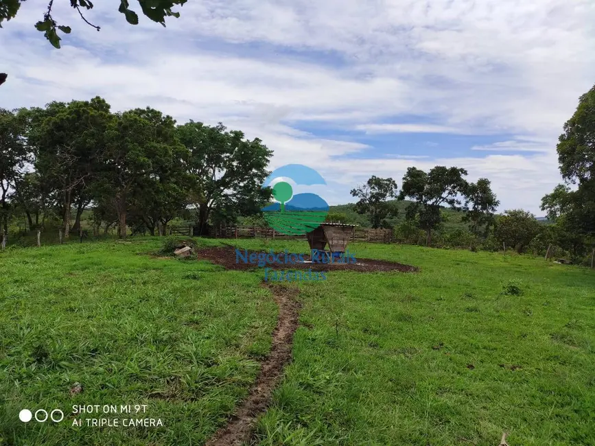 Foto 1 de Fazenda / Haras à venda, 515m2 em Jaragua - GO