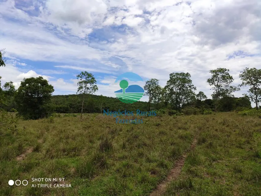 Foto 5 de Fazenda / Haras à venda, 515m2 em Jaragua - GO