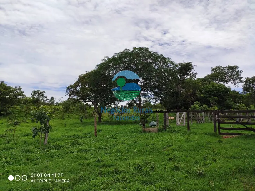 Foto 3 de Fazenda / Haras à venda, 515m2 em Jaragua - GO