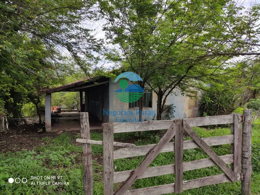 Foto 8 de Fazenda / Haras à venda, 515m2 em Jaragua - GO