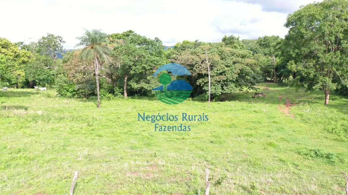 Foto 5 de Fazenda / Haras à venda, 218m2 em Formoso - GO
