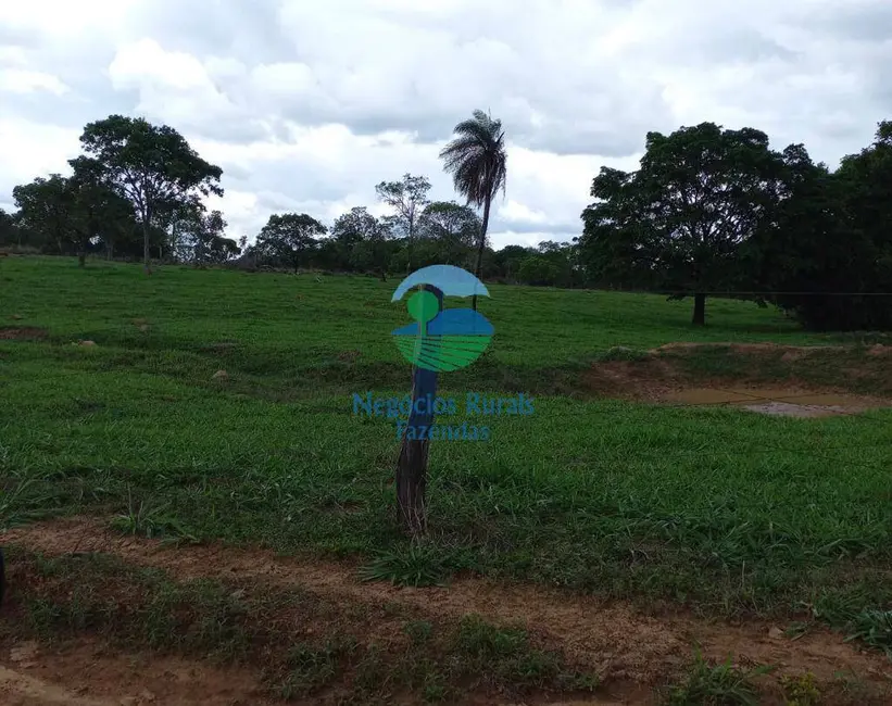 Foto 1 de Fazenda / Haras à venda, 218m2 em Formoso - GO