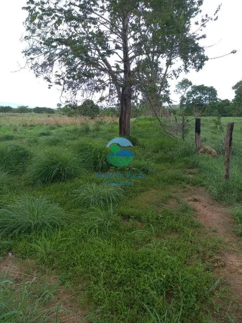 Foto 8 de Fazenda / Haras à venda, 218m2 em Formoso - GO