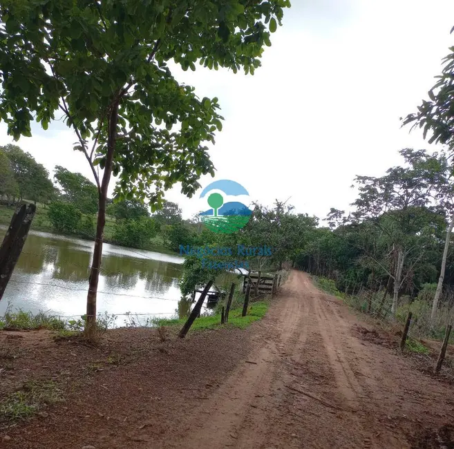 Foto 7 de Fazenda / Haras à venda, 218m2 em Formoso - GO
