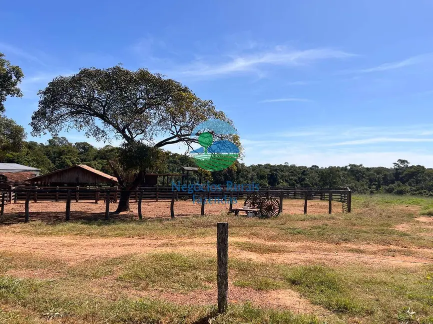 Foto 9 de Fazenda / Haras à venda, 218m2 em Formoso - GO
