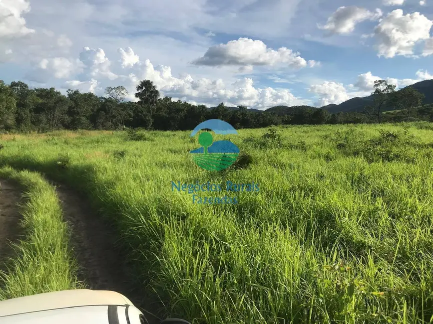 Foto 7 de Fazenda / Haras à venda, 95m2 em Sao Salvador Do Tocantins - TO