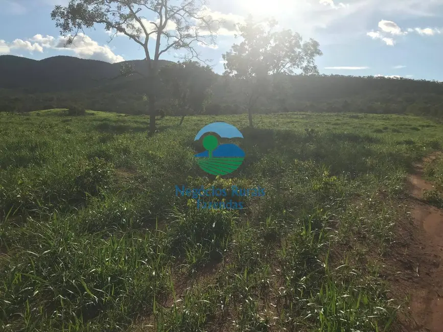 Foto 8 de Fazenda / Haras à venda, 95m2 em Sao Salvador Do Tocantins - TO