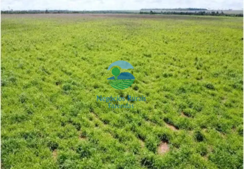 Fazenda / Haras à venda, 1500m2 em Paranatinga - MT - imagem 7 Foto 7 de Fazenda / Haras à venda, 1500m2 em Paranatinga - MT