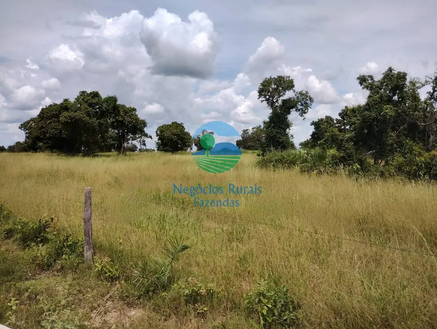 Foto 9 de Fazenda / Haras com 3 quartos à venda, 2076m2 em Parana - TO