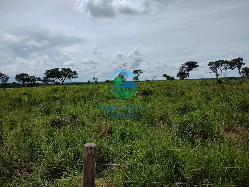 Foto 5 de Fazenda / Haras com 3 quartos à venda, 2076m2 em Parana - TO