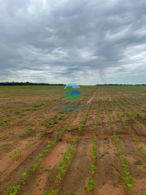 Foto 2 de Fazenda / Haras com 8 quartos à venda, 1360m2 em Porto Nacional - TO