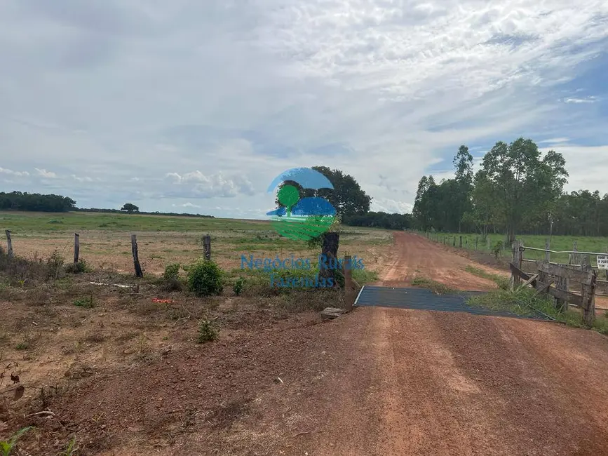 Foto 9 de Fazenda / Haras com 8 quartos à venda, 1360m2 em Porto Nacional - TO