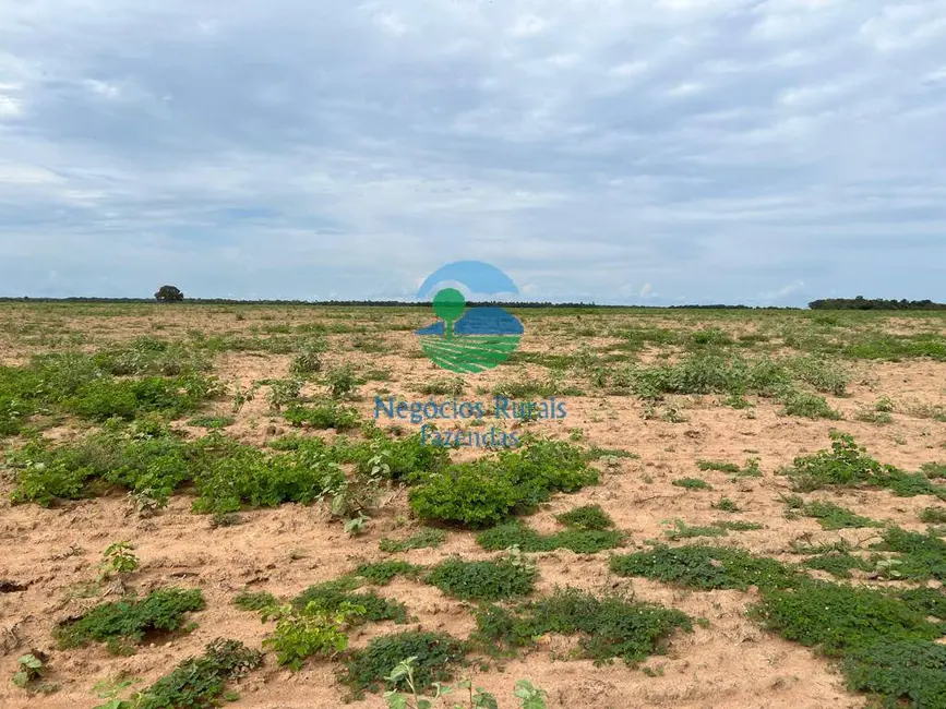 Foto 5 de Fazenda / Haras com 8 quartos à venda, 1360m2 em Porto Nacional - TO