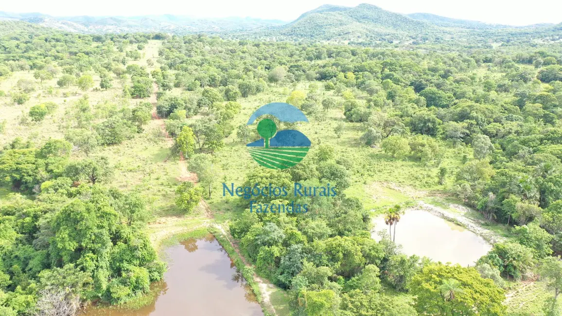 Foto 6 de Fazenda / Haras com 3 quartos à venda, 1055m2 em Formoso - GO
