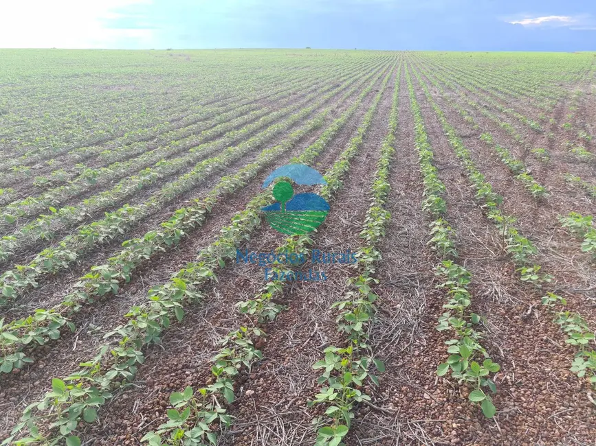 Foto 1 de Fazenda / Haras com 7 quartos à venda, 1162m2 em Duere - TO