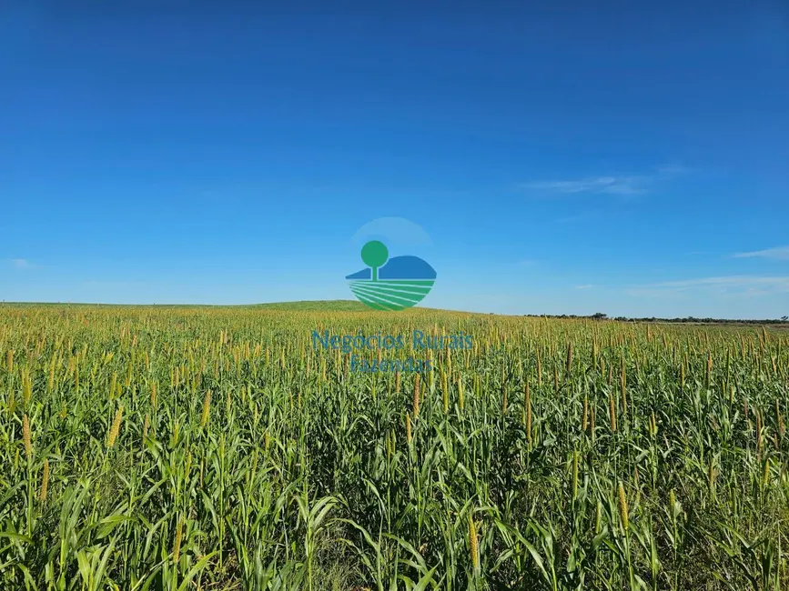 Foto 9 de Fazenda / Haras com 7 quartos à venda, 1162m2 em Duere - TO