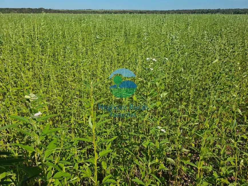 Foto 7 de Fazenda / Haras com 7 quartos à venda, 1162m2 em Duere - TO