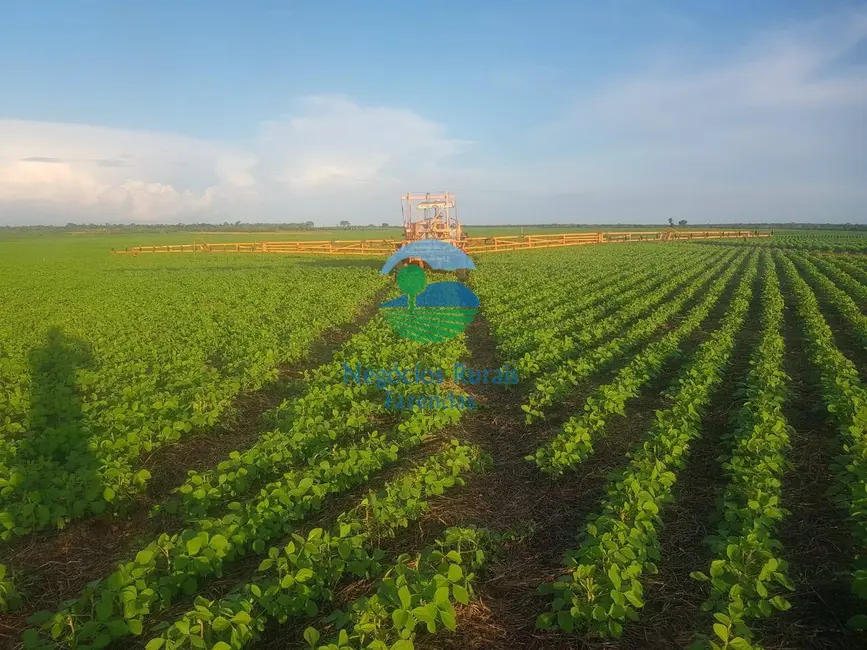 Foto 3 de Fazenda / Haras com 7 quartos à venda, 1162m2 em Duere - TO