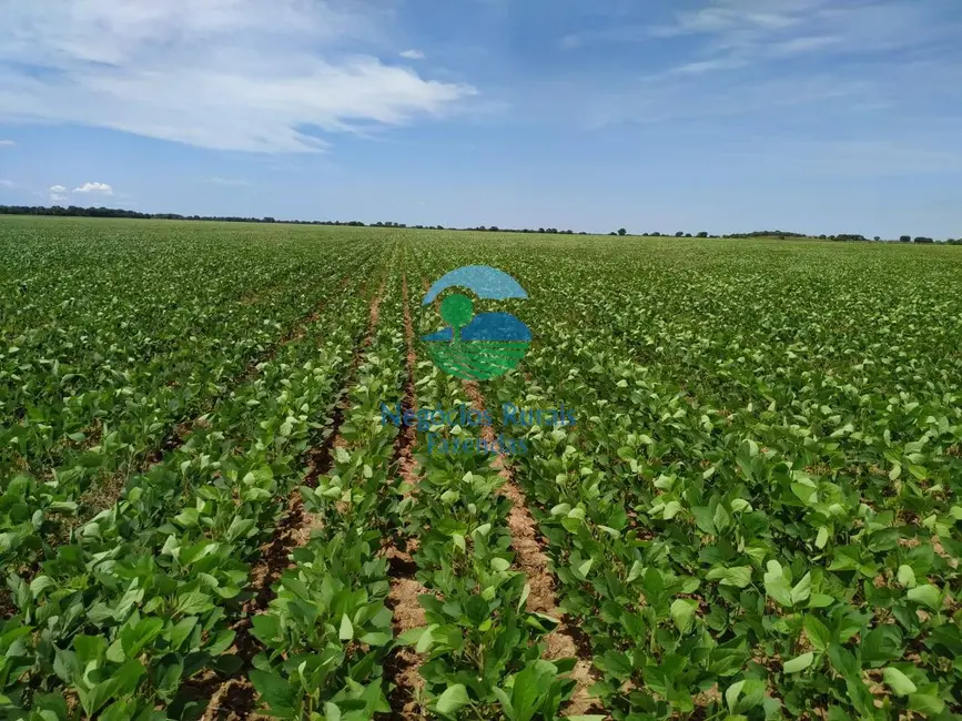 Foto 5 de Fazenda / Haras com 7 quartos à venda, 1162m2 em Duere - TO