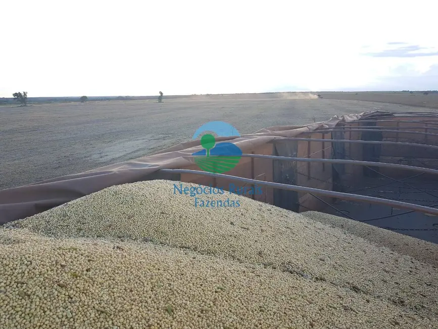 Foto 4 de Fazenda / Haras com 7 quartos à venda, 1162m2 em Duere - TO