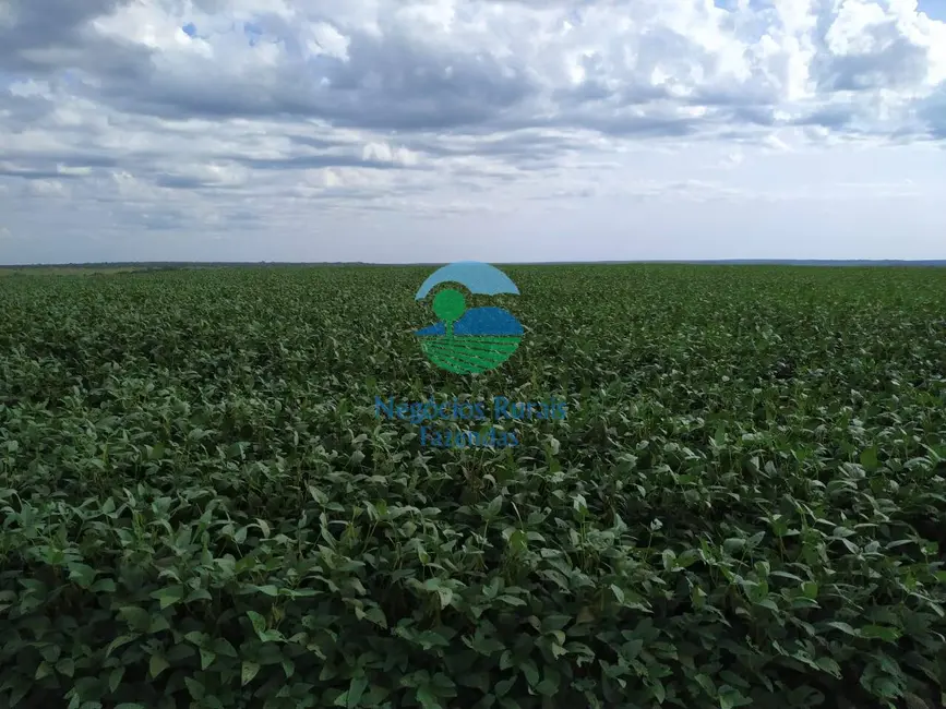 Foto 2 de Fazenda / Haras com 7 quartos à venda, 1162m2 em Duere - TO