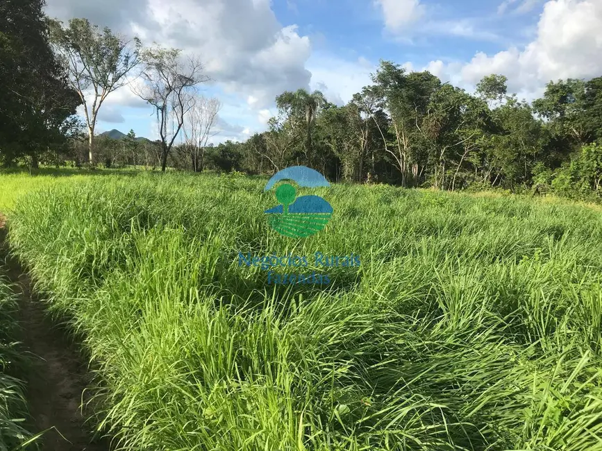 Foto 6 de Fazenda / Haras à venda, 95m2 em Sao Salvador Do Tocantins - TO