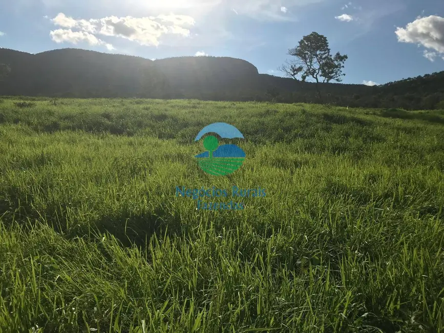 Foto 9 de Fazenda / Haras à venda, 95m2 em Sao Salvador Do Tocantins - TO