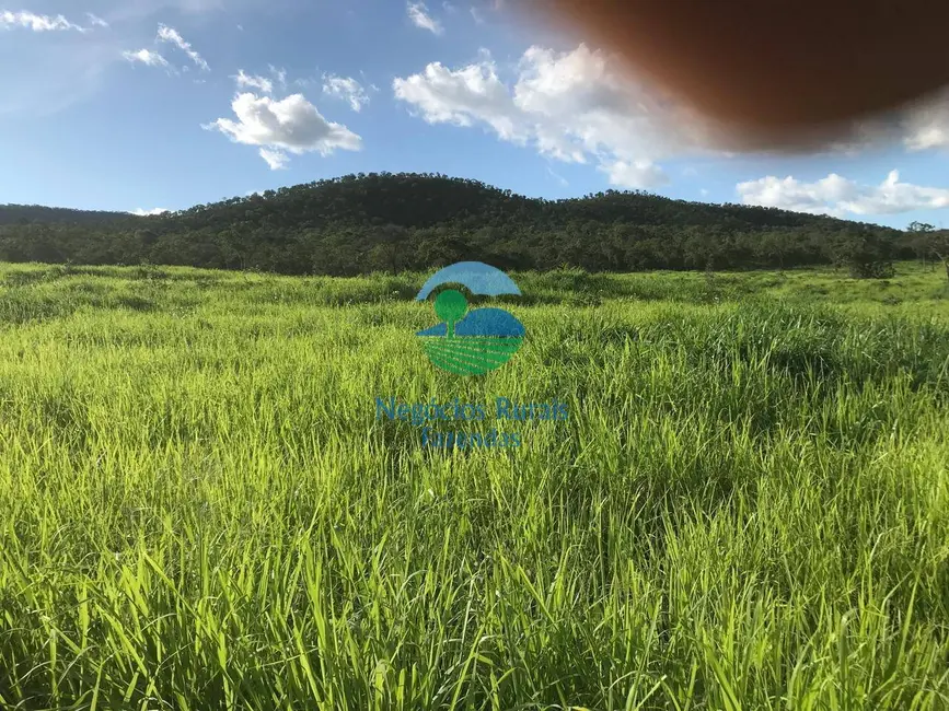 Foto 4 de Fazenda / Haras à venda, 95m2 em Sao Salvador Do Tocantins - TO