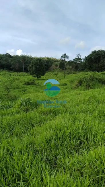 Foto 1 de Fazenda / Haras à venda em Campinacu, GO