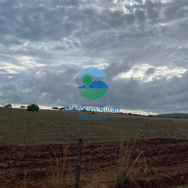 Foto 2 de Fazenda / Haras à venda, 324m2 em Vila Propicio - GO