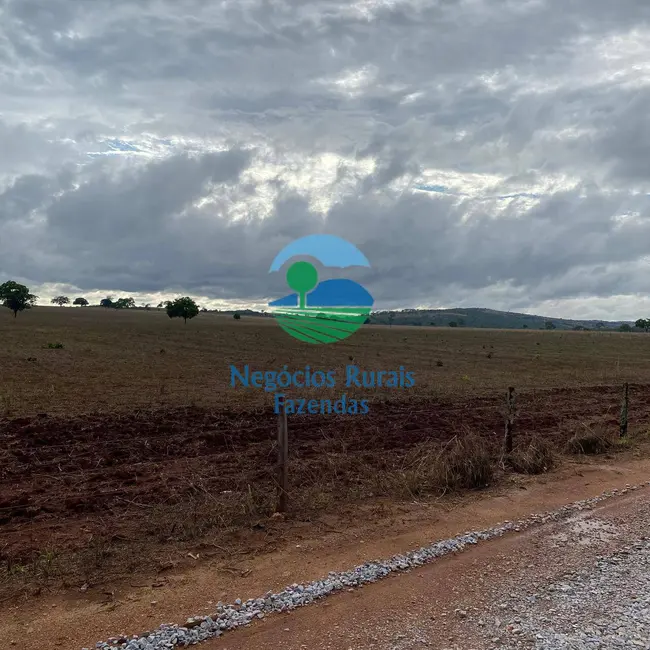 Foto 3 de Fazenda / Haras à venda, 324m2 em Vila Propicio - GO