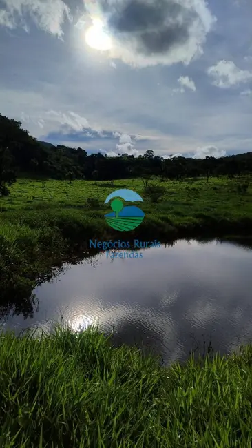 Foto 2 de Fazenda / Haras à venda em Campinacu - GO