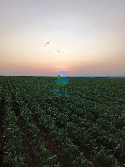 Fazenda / Haras à venda, 1960m2 em Plano Diretor Sul, Palmas - TO - imagem 1 Foto 1 de Fazenda / Haras à venda, 1960m2 em Plano Diretor Sul, Palmas - TO