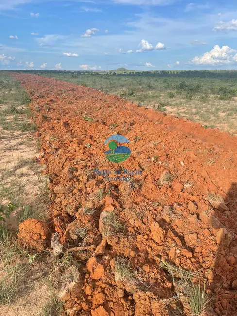 Fazenda / Haras à venda, 1960m2 em Plano Diretor Sul, Palmas - TO - imagem 3 Foto 3 de Fazenda / Haras à venda, 1960m2 em Plano Diretor Sul, Palmas - TO