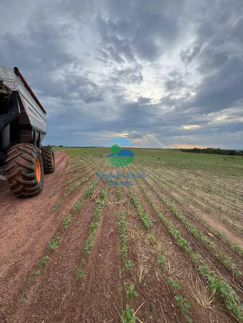 Fazenda / Haras à venda, 1960m2 em Plano Diretor Sul, Palmas - TO - imagem 6 Foto 6 de Fazenda / Haras à venda, 1960m2 em Plano Diretor Sul, Palmas - TO