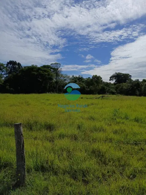 Foto 3 de Fazenda / Haras com 7 quartos à venda em Uruacu - GO