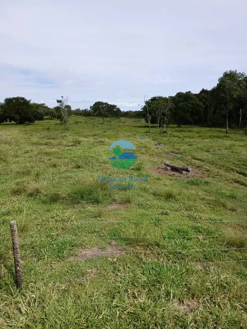 Foto 4 de Fazenda / Haras com 7 quartos à venda em Uruacu - GO