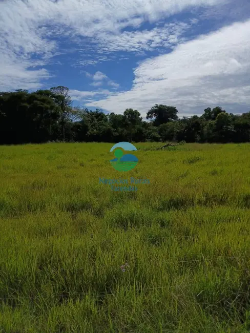 Foto 5 de Fazenda / Haras com 7 quartos à venda em Uruacu - GO