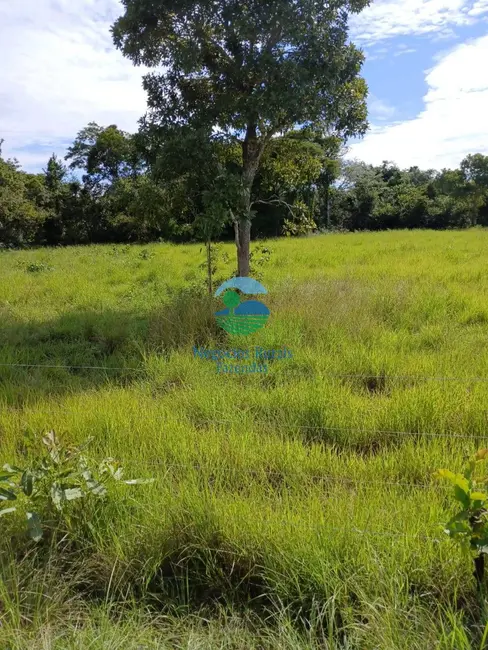 Foto 2 de Fazenda / Haras com 7 quartos à venda em Uruacu - GO