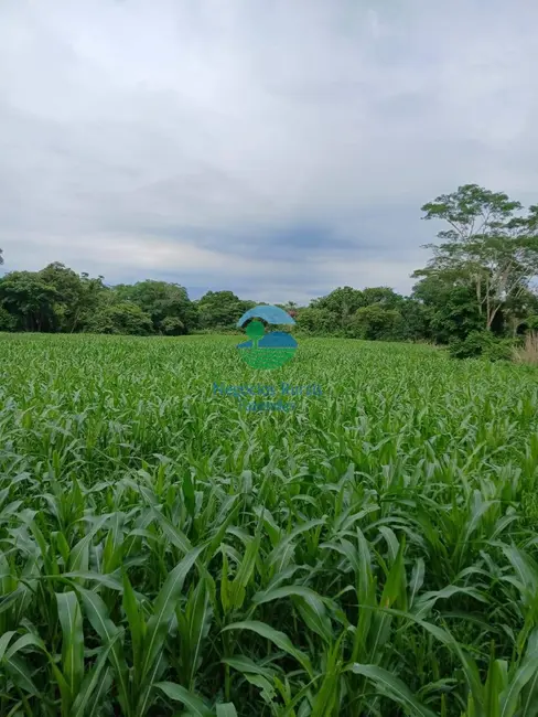 Foto 1 de Fazenda / Haras com 7 quartos à venda em Uruacu - GO